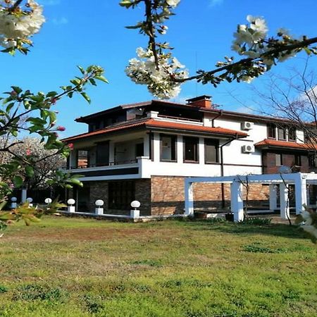 Къща За Гости "Мечта" Lyutibrod Dış mekan fotoğraf