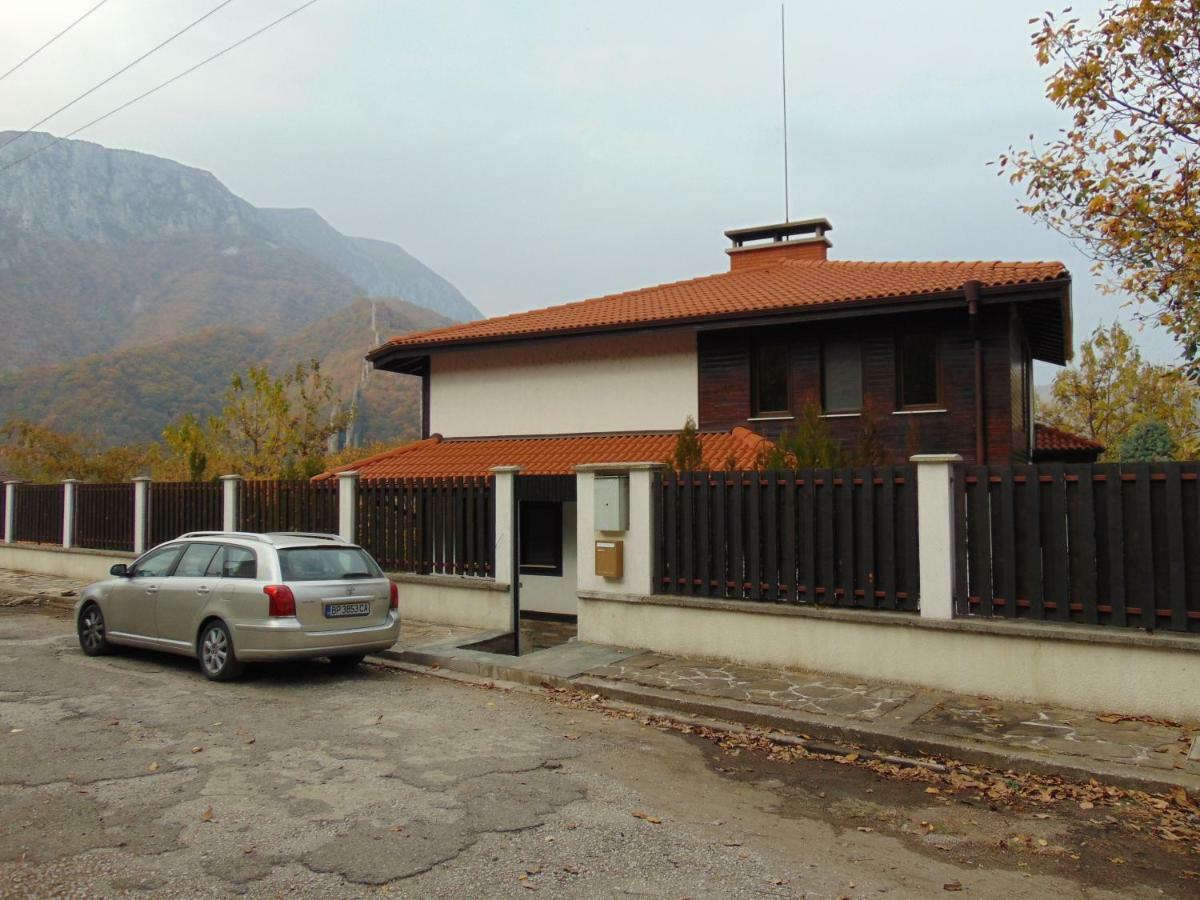 Къща За Гости "Мечта" Lyutibrod Dış mekan fotoğraf